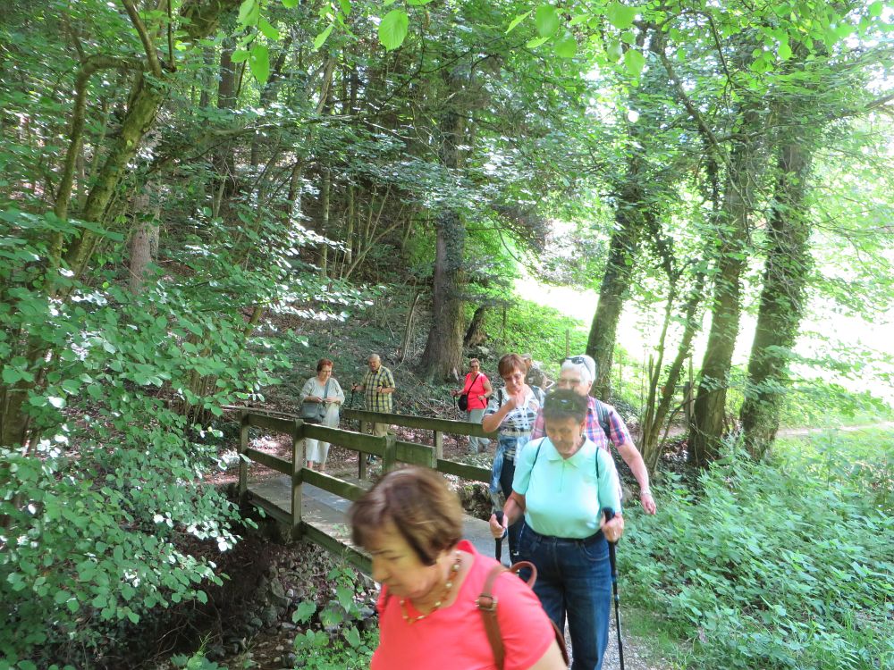 schöner Rückweg nach Oberdorf