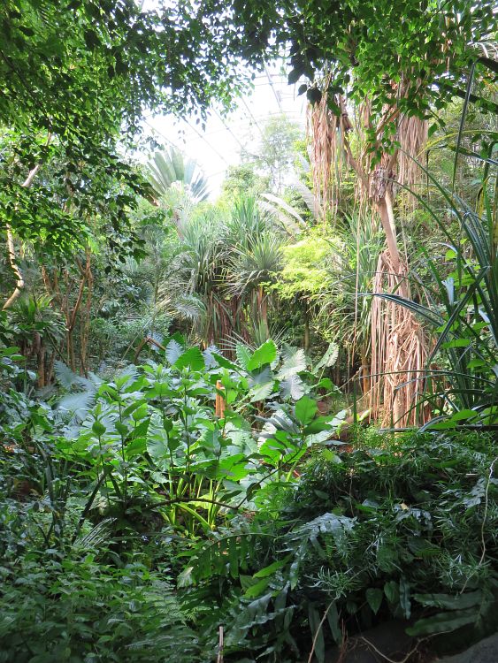 Nat.Park Masoala