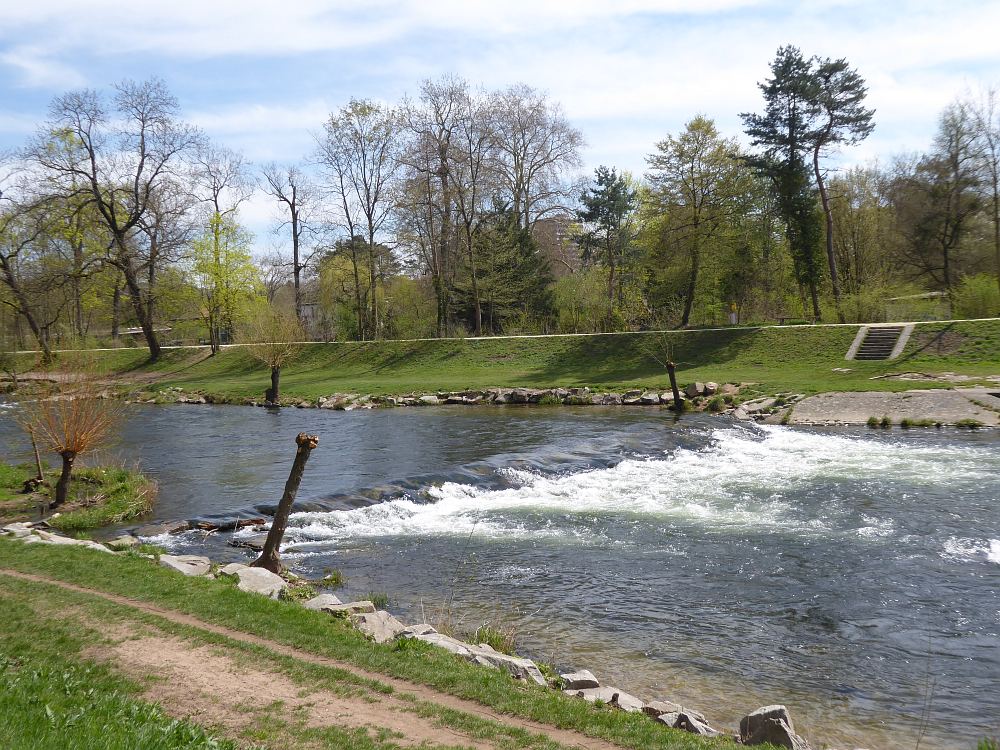 Entlang der Wiese für einige