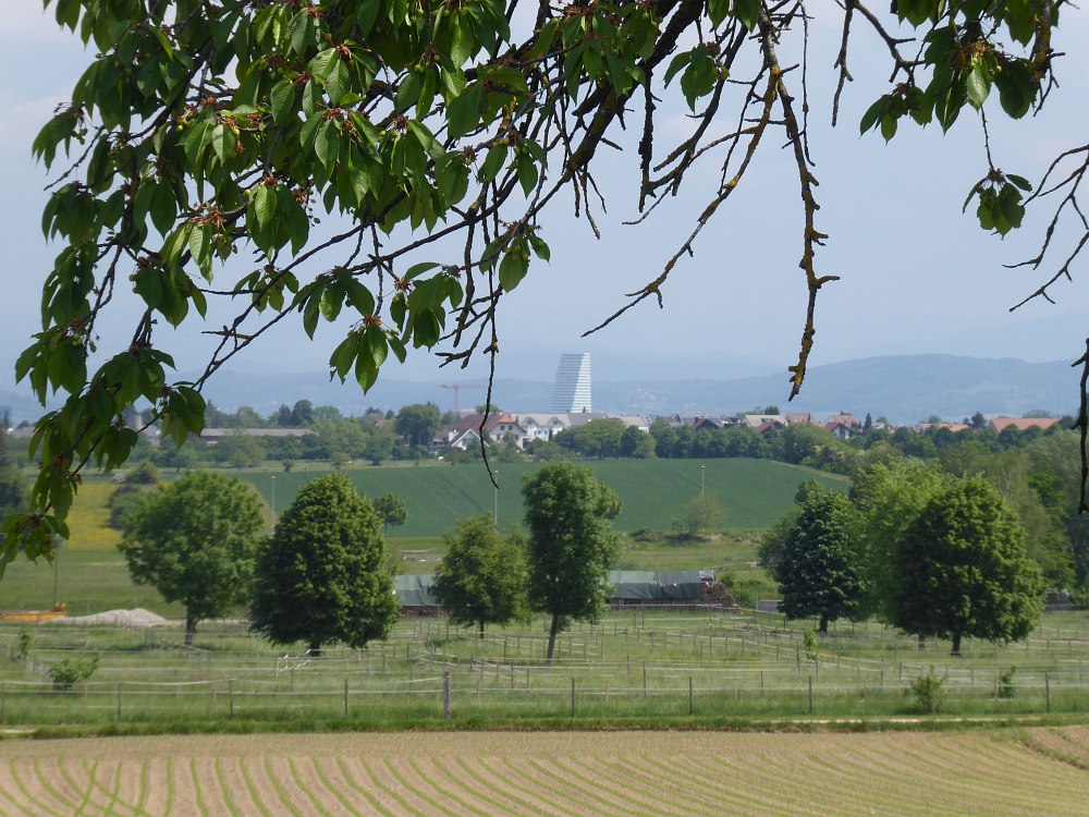 Aussicht